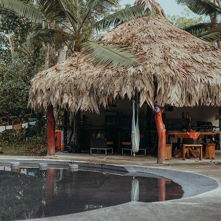Casa De Los Amigos Caribena Cahuita Ngoại thất bức ảnh