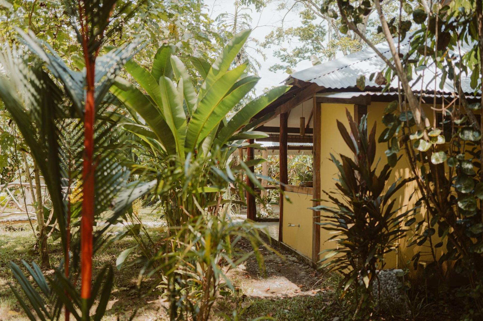 Casa De Los Amigos Caribena Cahuita Ngoại thất bức ảnh