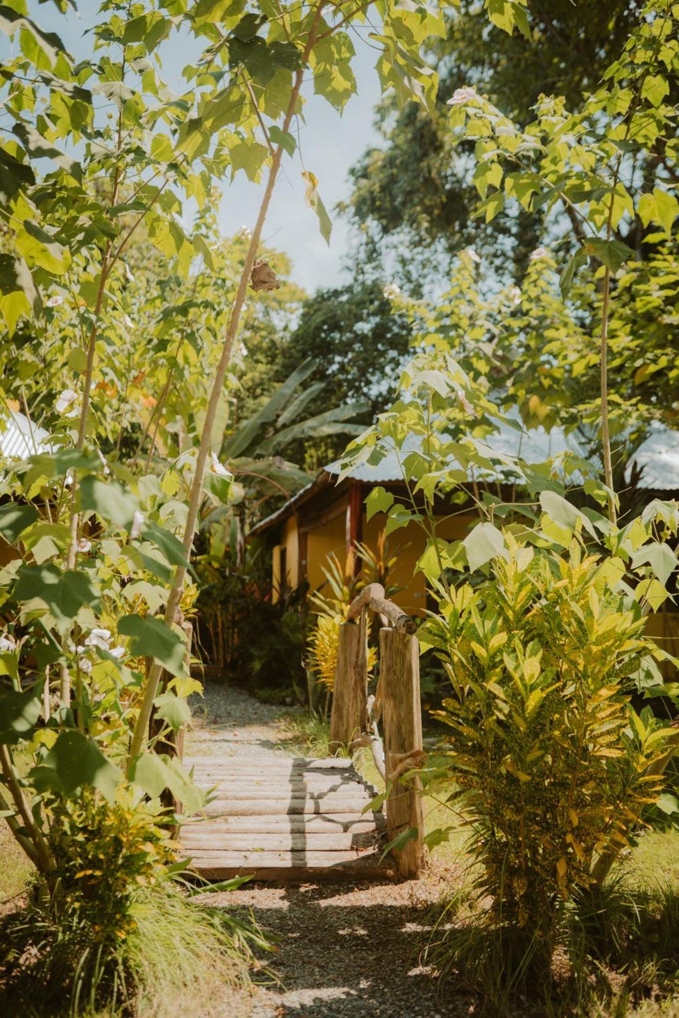 Casa De Los Amigos Caribena Cahuita Ngoại thất bức ảnh